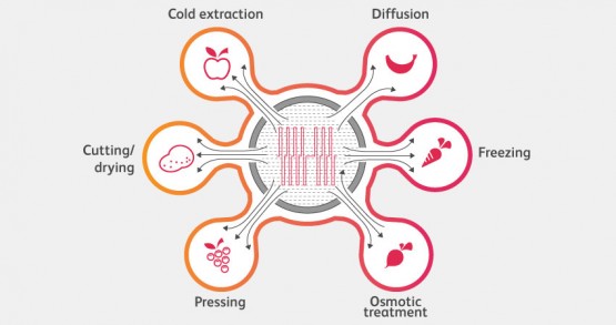 Pef Processing PEF processing of fruits and vegetables: Big advantages